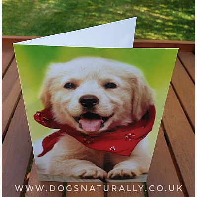 Puppy Thank You Card
